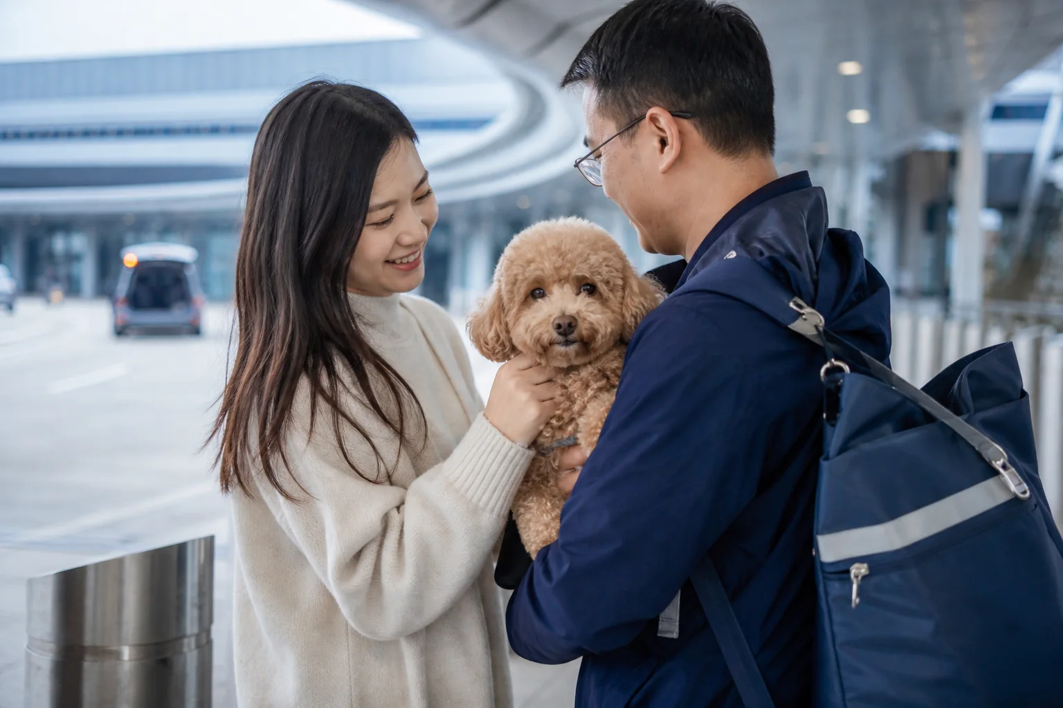 小型犬前往香港交接案例
